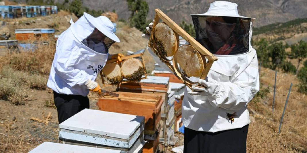 Şehirden kırsala yerleşip üretime geçtiler! 30 kovandan sayıları 350’ye çıktı: Yılda 2,5 ton üretim yapıyorlar 1